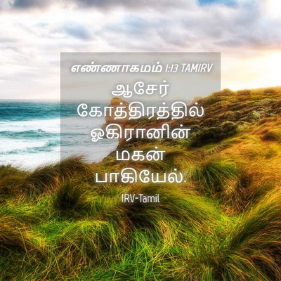 Picture 04 - எண்ணாகமம் 1:13 TAMIRV - ஆசேர் - Bible Verse Picture