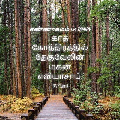 Picture 04 - எண்ணாகமம் 1:14 TAMIRV - காத் - Bible Verse Picture