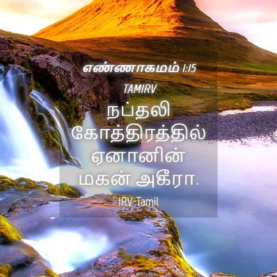 Picture 04 - எண்ணாகமம் 1:15 TAMIRV - நப்தலி - Bible Verse Picture