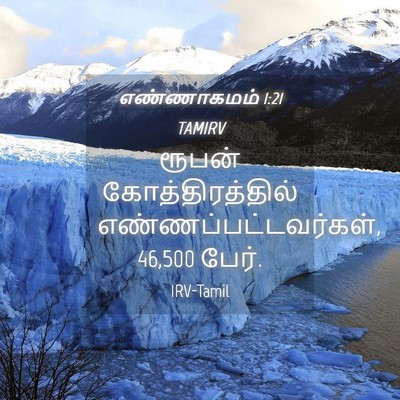 Picture 04 - எண்ணாகமம் 1:21 TAMIRV - ரூபன் - Bible Verse Picture