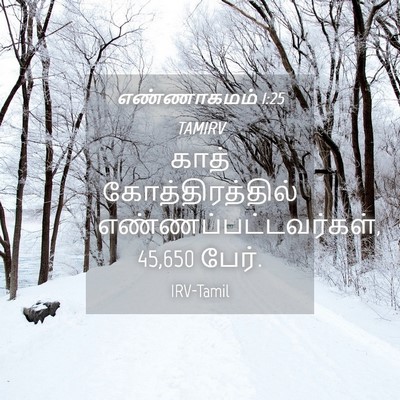 Picture 04 - எண்ணாகமம் 1:25 TAMIRV - காத் - Bible Verse Picture
