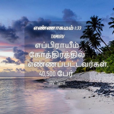 Picture 04 - எண்ணாகமம் 1:33 TAMIRV - எப்பிராயீம் - Bible Verse Picture