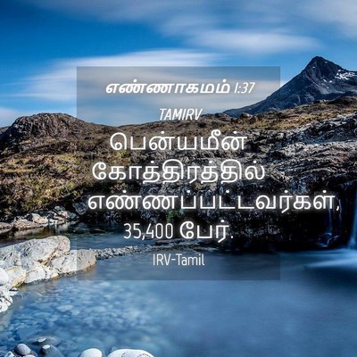 Picture 04 - எண்ணாகமம் 1:37 TAMIRV - பென்யமீன் - Bible Verse Picture