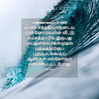 Picture 04 - எண்ணாகமம் 1:38 TAMIRV - தாண் - Bible Verse Picture