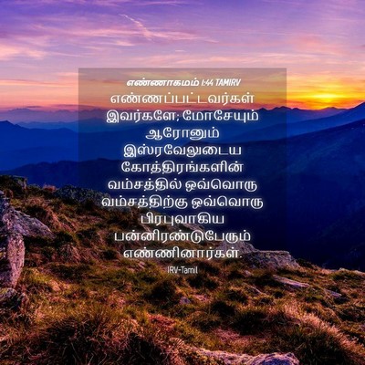 Picture 04 - எண்ணாகமம் 1:44 TAMIRV - எண்ணப்பட்டவர்கள் - Bible Verse Picture