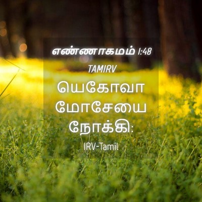 Picture 04 - எண்ணாகமம் 1:48 TAMIRV - யெகோவா மோசேயை - Bible Verse Picture