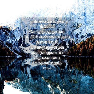 Picture 04 - எண்ணாகமம் 1:49 TAMIRV - “நீ லேவி - Bible Verse Picture