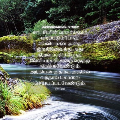 Picture 04 - எண்ணாகமம் 1:51 TAMIRV - சாட்சியின் - Bible Verse Picture