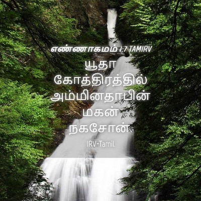 Picture 04 - எண்ணாகமம் 1:7 TAMIRV - யூதா - Bible Verse Picture
