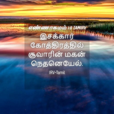Picture 04 - எண்ணாகமம் 1:8 TAMIRV - இசக்கார் - Bible Verse Picture