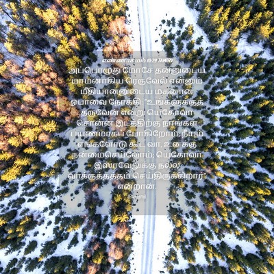 Picture 04 - எண்ணாகமம் 10:29 TAMIRV - அப்பொழுது மோசே - Bible Verse Picture