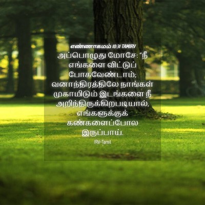 Picture 04 - எண்ணாகமம் 10:31 TAMIRV - அப்பொழுது மோசே: - Bible Verse Picture