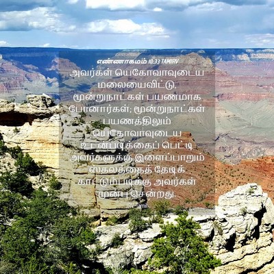 Picture 04 - எண்ணாகமம் 10:33 TAMIRV - அவர்கள் - Bible Verse Picture