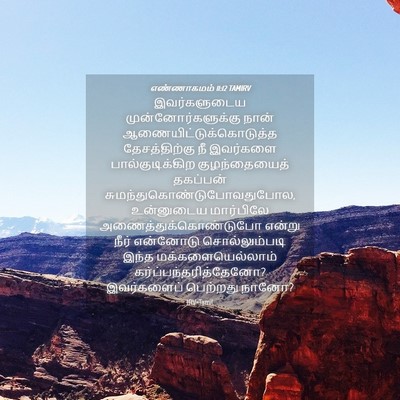 Picture 04 - எண்ணாகமம் 11:12 TAMIRV - இவர்களுடைய - Bible Verse Picture