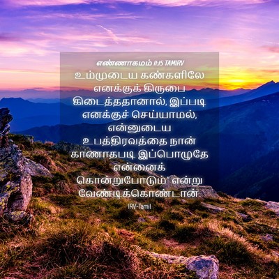 Picture 04 - எண்ணாகமம் 11:15 TAMIRV - உம்முடைய கண்களிலே - Bible Verse Picture