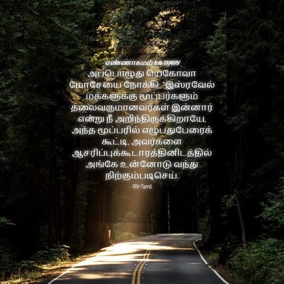 Picture 04 - எண்ணாகமம் 11:16 TAMIRV - அப்பொழுது யெகோவா - Bible Verse Picture