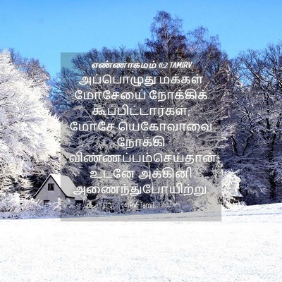 Picture 04 - எண்ணாகமம் 11:2 TAMIRV - அப்பொழுது மக்கள் - Bible Verse Picture