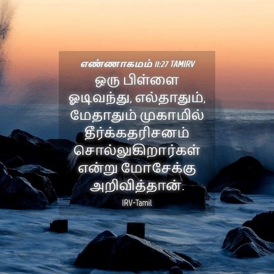 Picture 04 - எண்ணாகமம் 11:27 TAMIRV - ஒரு பிள்ளை - Bible Verse Picture