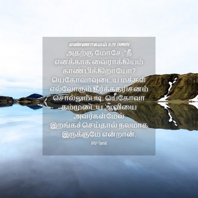 Picture 04 - எண்ணாகமம் 11:29 TAMIRV - அதற்கு மோசே: “நீ - Bible Verse Picture