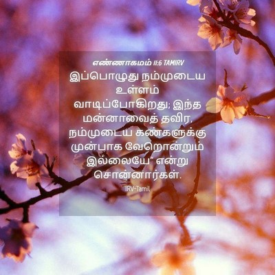 Picture 04 - எண்ணாகமம் 11:6 TAMIRV - இப்பொழுது - Bible Verse Picture