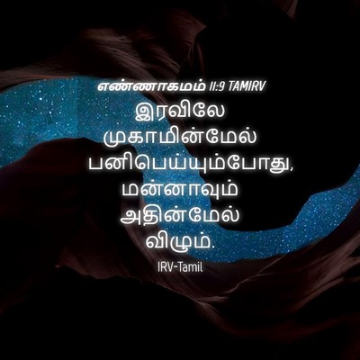 Picture 04 - எண்ணாகமம் 11:9 TAMIRV - இரவிலே - Bible Verse Picture
