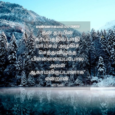 Picture 04 - எண்ணாகமம் 12:12 TAMIRV - தன் தாயின் - Bible Verse Picture