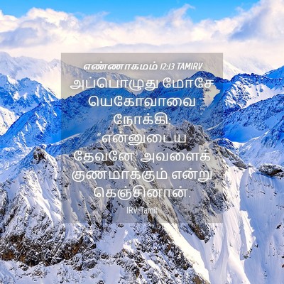Picture 04 - எண்ணாகமம் 12:13 TAMIRV - அப்பொழுது மோசே - Bible Verse Picture