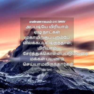 Picture 04 - எண்ணாகமம் 12:15 TAMIRV - அப்படியே மிரியாம் - Bible Verse Picture