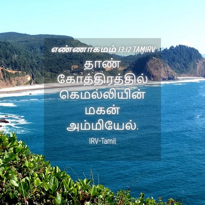 Picture 04 - எண்ணாகமம் 13:12 TAMIRV - தாண் - Bible Verse Picture