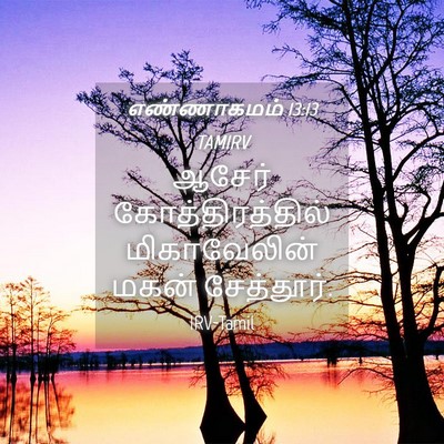 Picture 04 - எண்ணாகமம் 13:13 TAMIRV - ஆசேர் - Bible Verse Picture