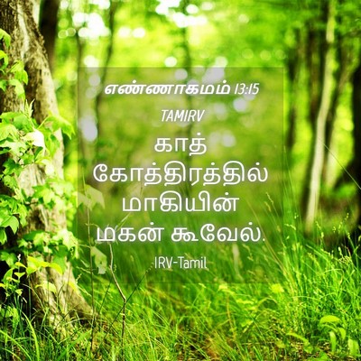 Picture 04 - எண்ணாகமம் 13:15 TAMIRV - காத் - Bible Verse Picture