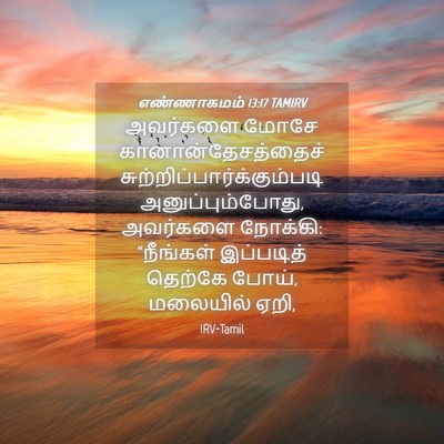 Picture 04 - எண்ணாகமம் 13:17 TAMIRV - அவர்களை மோசே - Bible Verse Picture