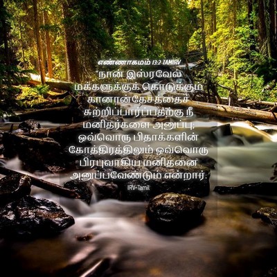 Picture 04 - எண்ணாகமம் 13:2 TAMIRV - “நான் இஸ்ரவேல் - Bible Verse Picture