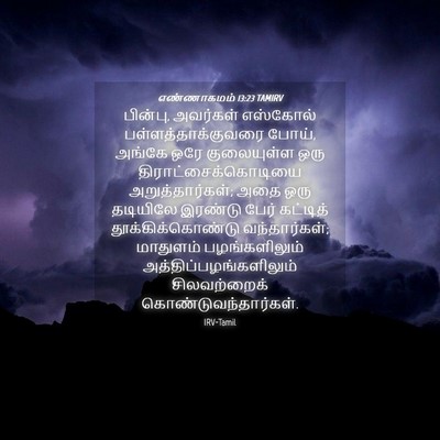Picture 04 - எண்ணாகமம் 13:23 TAMIRV - பின்பு, அவர்கள் - Bible Verse Picture