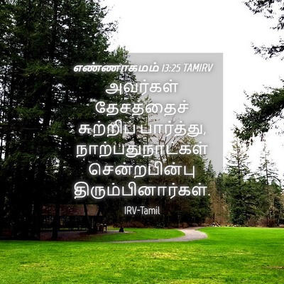 Picture 04 - எண்ணாகமம் 13:25 TAMIRV - அவர்கள் தேசத்தைச் - Bible Verse Picture