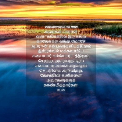 Picture 04 - எண்ணாகமம் 13:26 TAMIRV - அவர்கள் பாரான் - Bible Verse Picture