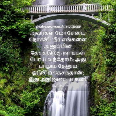 Picture 04 - எண்ணாகமம் 13:27 TAMIRV - அவர்கள் மோசேயை - Bible Verse Picture