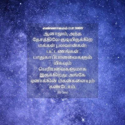 Picture 04 - எண்ணாகமம் 13:28 TAMIRV - ஆனாலும், அந்த - Bible Verse Picture