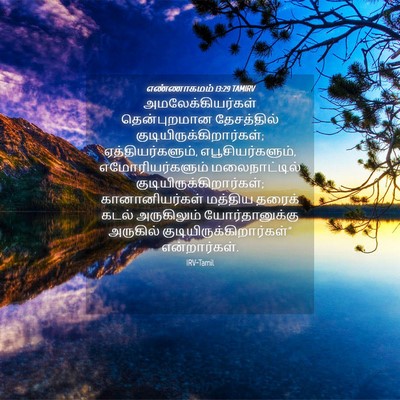 Picture 04 - எண்ணாகமம் 13:29 TAMIRV - அமலேக்கியர்கள் - Bible Verse Picture