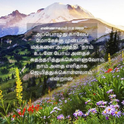Picture 04 - எண்ணாகமம் 13:30 TAMIRV - அப்பொழுது காலேப் - Bible Verse Picture