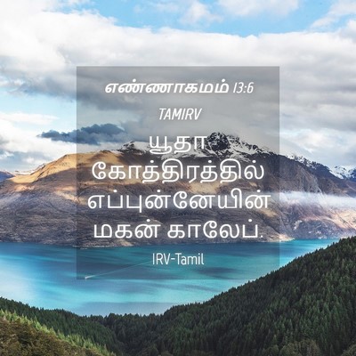 Picture 04 - எண்ணாகமம் 13:6 TAMIRV - யூதா - Bible Verse Picture