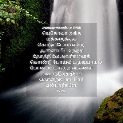 Picture 04 - எண்ணாகமம் 14:16 TAMIRV - யெகோவா அந்த - Bible Verse Picture