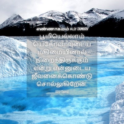 Picture 04 - எண்ணாகமம் 14:21 TAMIRV - பூமியெல்லாம் - Bible Verse Picture