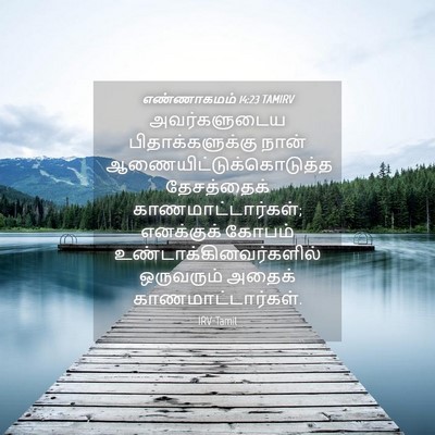 Picture 04 - எண்ணாகமம் 14:23 TAMIRV - அவர்களுடைய - Bible Verse Picture
