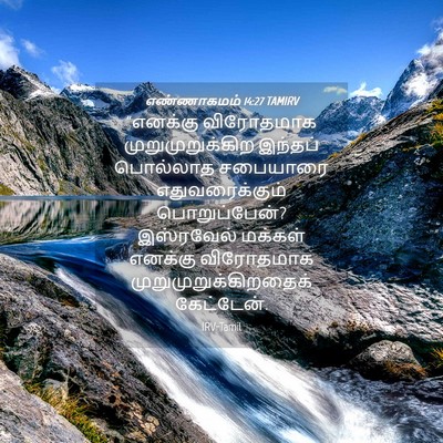 Picture 04 - எண்ணாகமம் 14:27 TAMIRV - “எனக்கு விரோதமாக - Bible Verse Picture