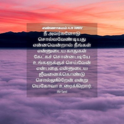 Picture 04 - எண்ணாகமம் 14:28 TAMIRV - நீ அவர்களோடு - Bible Verse Picture