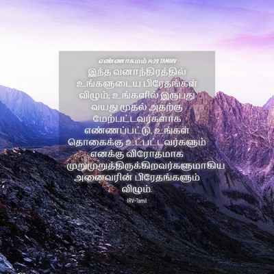 Picture 04 - எண்ணாகமம் 14:29 TAMIRV - இந்த - Bible Verse Picture