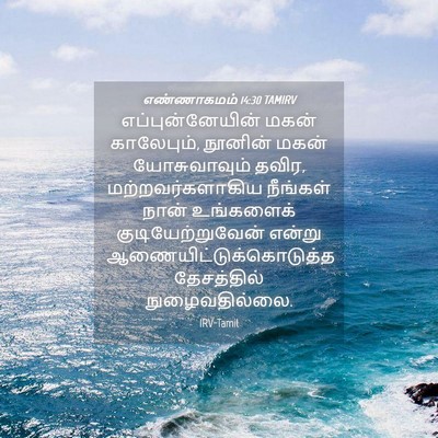 Picture 04 - எண்ணாகமம் 14:30 TAMIRV - எப்புன்னேயின் - Bible Verse Picture