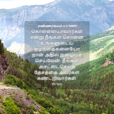 Picture 04 - எண்ணாகமம் 14:31 TAMIRV - கொள்ளையாவார்கள் - Bible Verse Picture