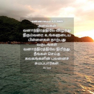 Picture 04 - எண்ணாகமம் 14:33 TAMIRV - அவைகள் - Bible Verse Picture